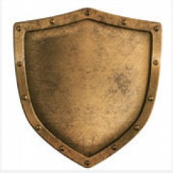 Shield