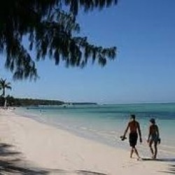 A Walk on the Beach