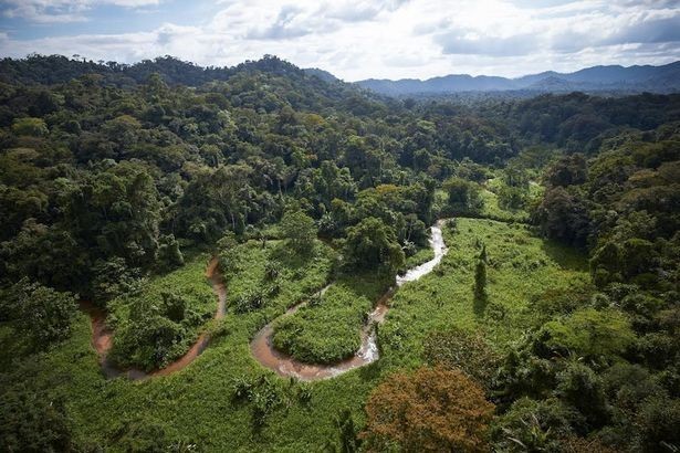 Found it: The rainforest where the team searched for the legendary 'lost city' of Ciudad Blanca, or White City of the Monkey God 
