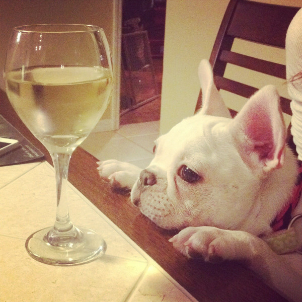 Wine for Frenchies