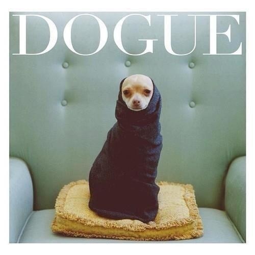 Dogue