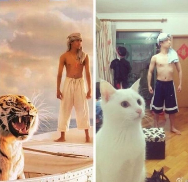 Life of Pi (2012)