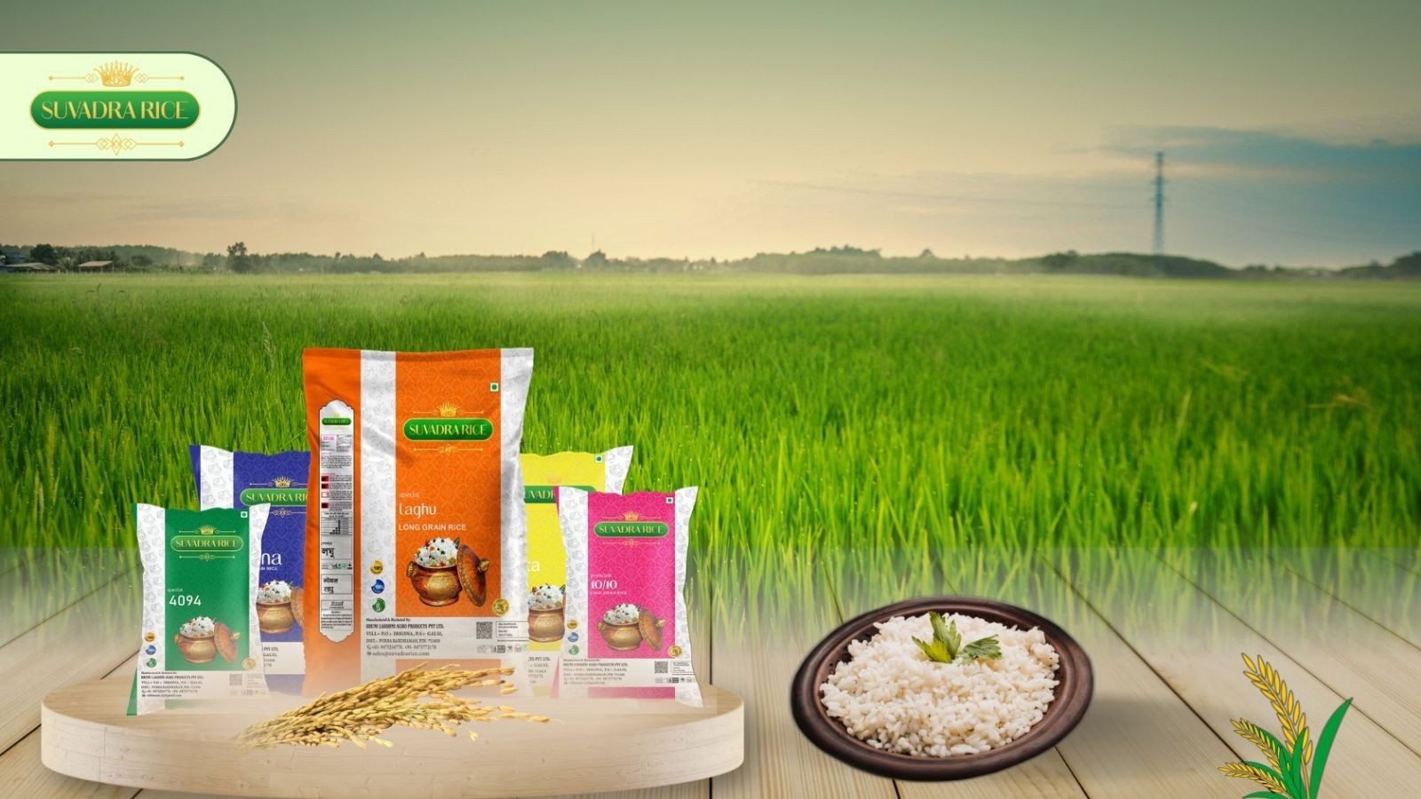 Sustainable Rice Milling: How Modern Techniques Save Grains and Energy